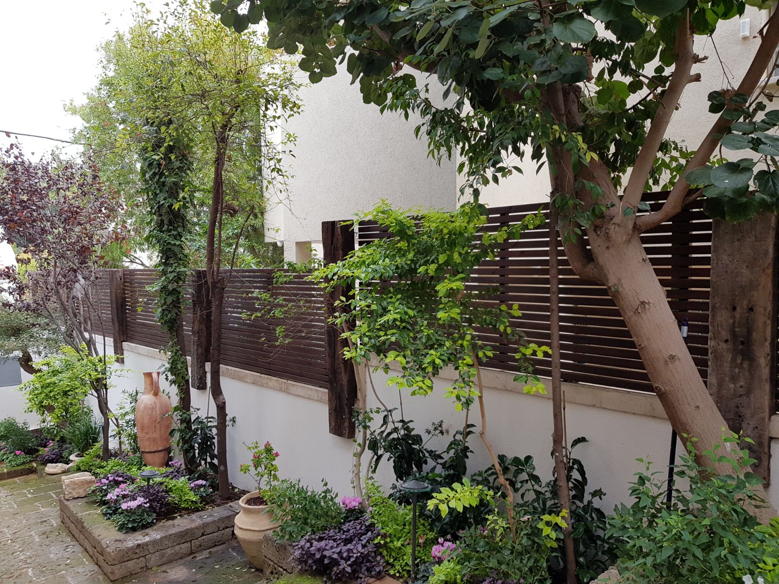 סביון (1)