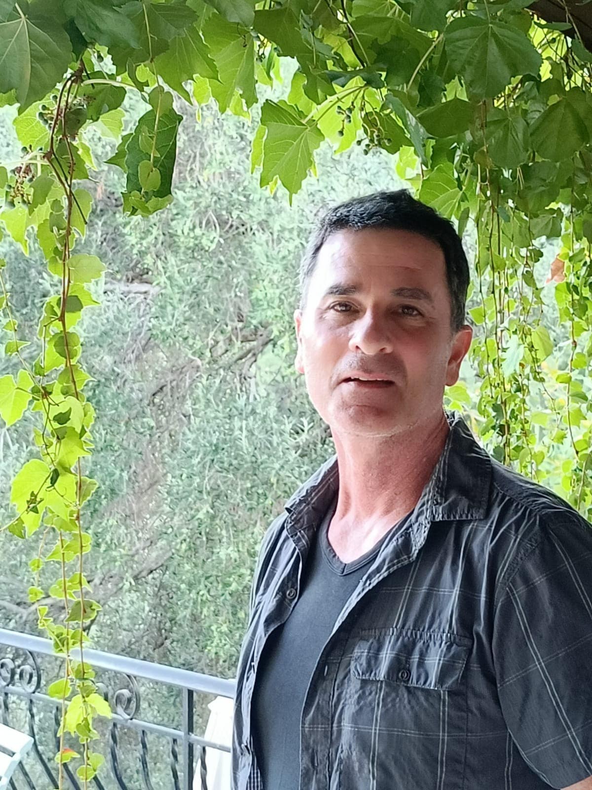 שולי לאתר